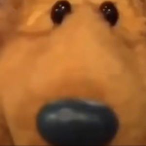 Meet your Posher, Holly